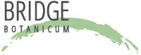 Bridge Botanicum